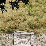 Ionian Citizen *